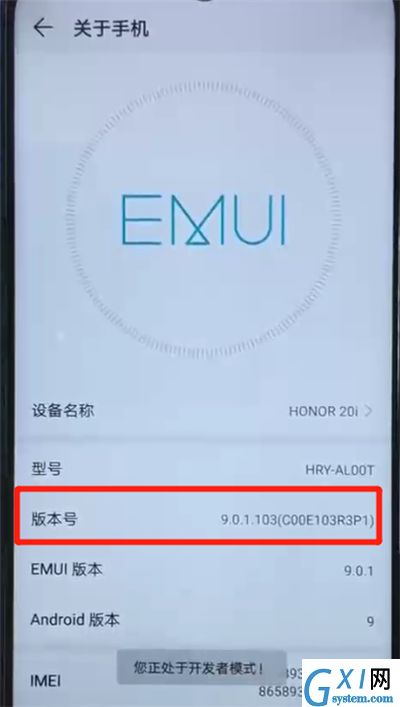 荣耀20i中进入开发者模式的操作方法截图