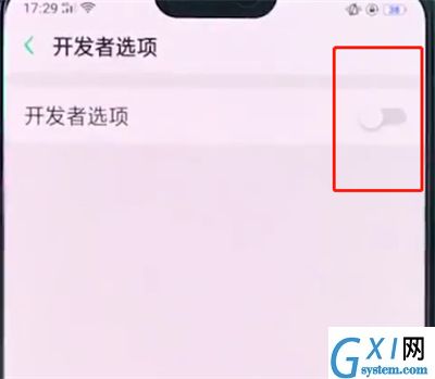 oppo手机中打开开发者选项的详细步骤截图