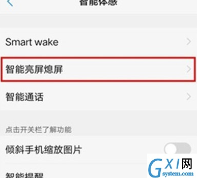 vivoz3x设置抬手亮屏的操作方法截图