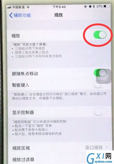 苹果6plus中使用缩放的操作步骤截图