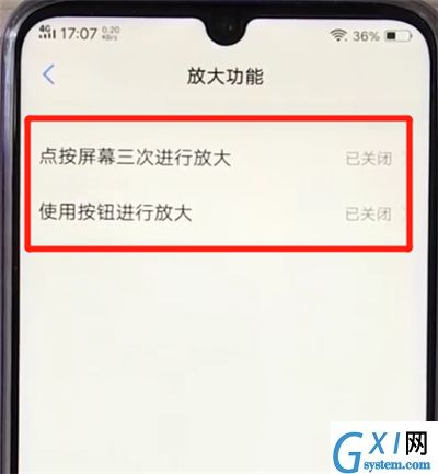 vivoz3打开放大功能的操作教程截图