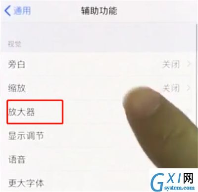 iphonex中使用放大器的操作步骤截图