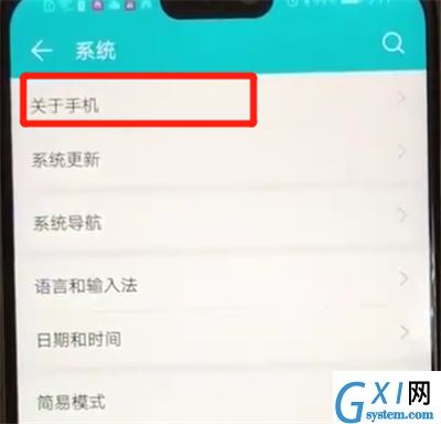 荣耀8x打开开发者模式的操作教程截图