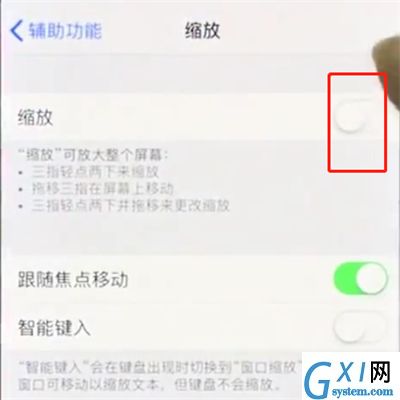 iphonex中使用缩放的操作步骤截图