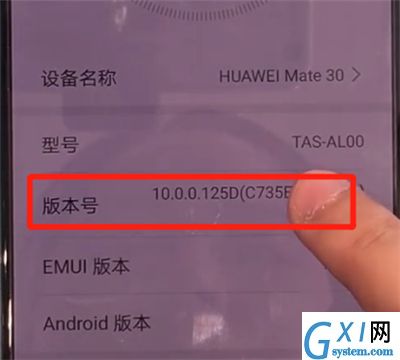 华为mate30中开启开发人员选项的操作教程截图