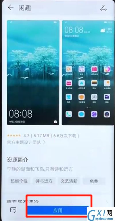 荣耀v20更换主题的操作教程截图