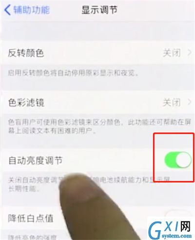 iphonex中关闭亮度调节的操作步骤截图