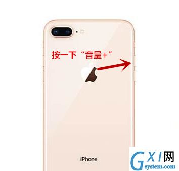 iPhone8 plus 强制重启的操作方法截图