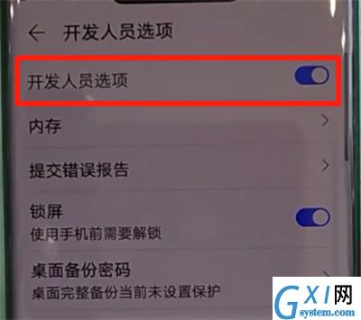 华为mate30pro中关闭开发人员选项的操作教程截图