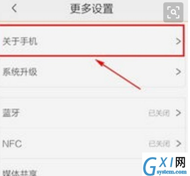 vivoZ3x查找产品型号的操作方法截图