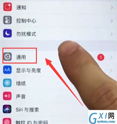 苹果6plus打开小白点的简单步骤截图