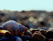 Chesil Beach