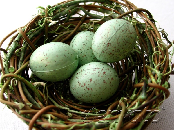 Eggs